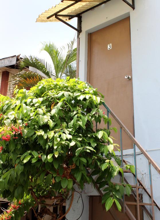 Ximenas Guest House San Salvador Kültér fotó